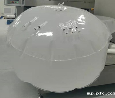 一次性生物液袋